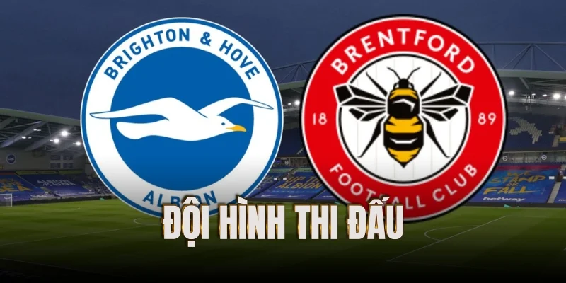 doi-hinh-thi-dau-brighton-vs-brentford